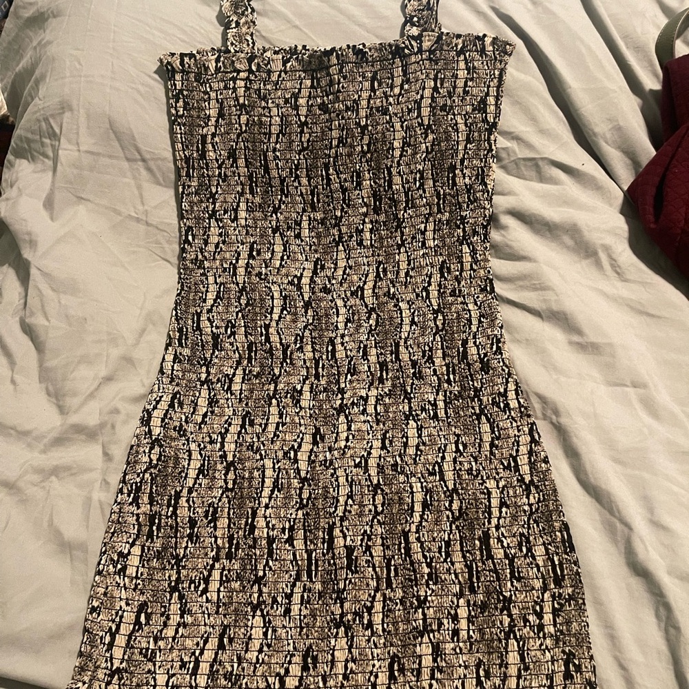 Wild Honey Black and Cream Mini Dress